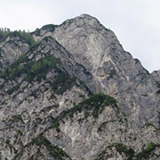 Ciprnik iz Kranjske Gore