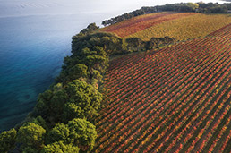 Morska in panoramska tematska pot