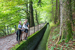 Trail Along the Rake Water Channel