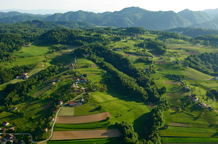 The Hilly Landscape of Kozjansko