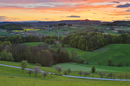 Goričko at Dawn