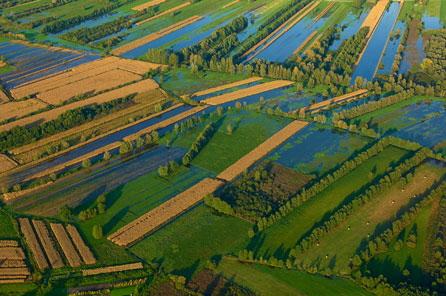 Flooded Marshes