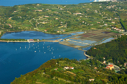 Laguna Stjuža in solinska polja