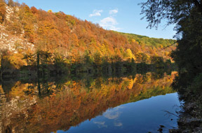 Krajinski park Ljubljansko barje