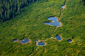 Regijski park Škocjanske jame