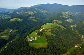 Regijski park Pohorje