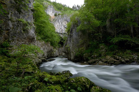 Krajinski park Debeli rtič