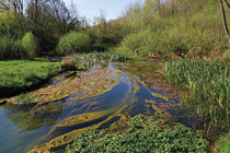 Krajinski park Lahinja