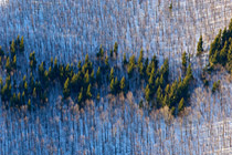 Landscape park Southern Slopes of the Trnovo Forest