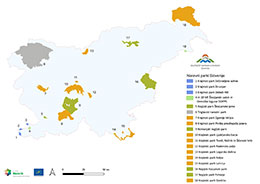 Skupnost naravnih parkov Slovenije