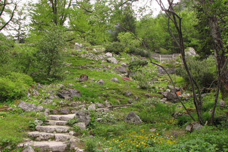 Alpski botanični vrt Juliana