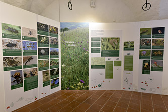 Kozjansko Regional Park, Podsreda Castle / Kozjansko Regional Park