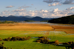 Cerkniško jezero